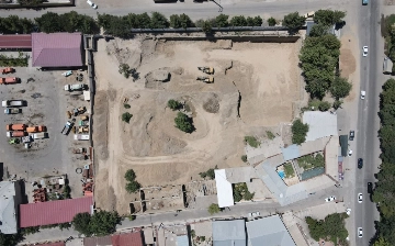 На одной из строек в Самарканде вырубили несколько ценных деревьев
