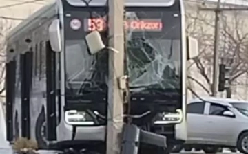 С начала года в Ташкенте произошло более 90 ДТП с участием автобусов